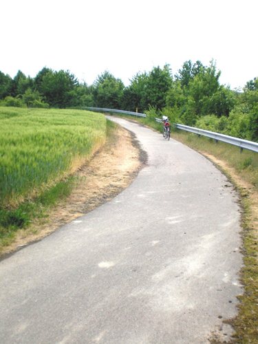 Radweg Bad Bergzabern - Süd-Ost