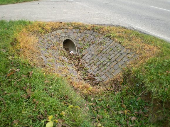 Steinfeld Landstraße Richtung Schaidt