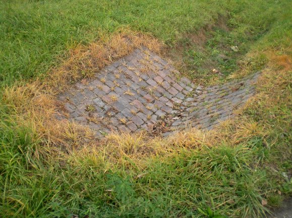 Steinfeld Landstraße Richtung Schaidt