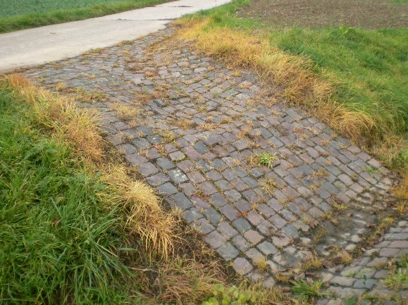 Steinfeld Landstraße Richtung Schaidt