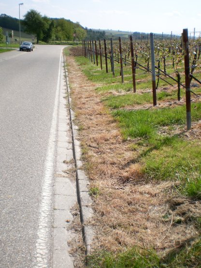 Gleiszellen vor Bushaltestelle