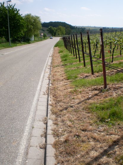 Gleiszellen vor Bushaltestelle