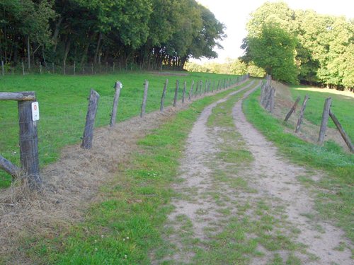 Liebfrauenberg 1 Richtung Friedhof