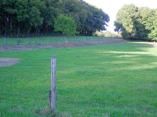 Liebfrauenberg 2 gesamte Böschung