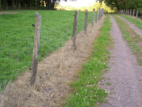 Liebfrauenberg 5 kurz v. Friedhof