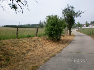 Bad Bergzabern/ Liebfrauenberg/ Randstreifen 3 Meter abgespritzt 