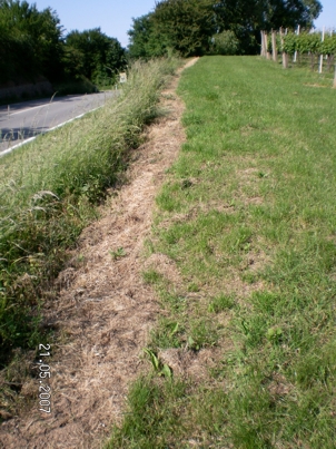 Bad Bergzabern/ Weinstraße, Ortsausgang / Ecke Firstweg - "tolle" Einsatzmöglichkeit für restliches Spritzmittel