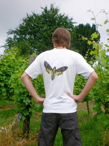 T-Shirt einfach Schwärmerlogo ohne Schrift