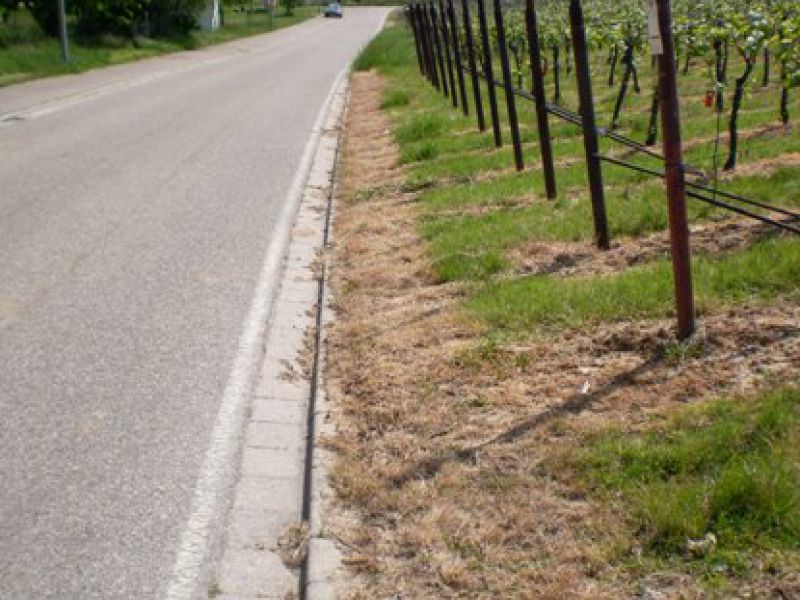 Gleiszellen vor Bushaltestelle