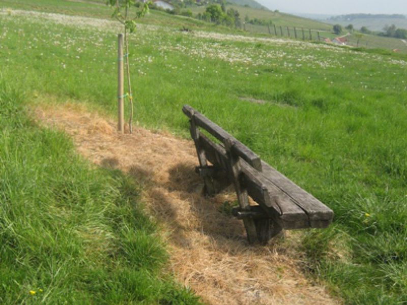 Gleiszellen Muskatellerweg